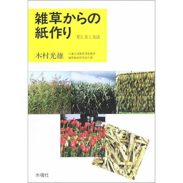 Amazon.co.jp: どんな草でも紙になる: 植物せんいのふしぎ (子ども科学