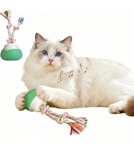 Amazon.co.jp: Giociv 猫のおもちゃ インタラクティブ 屋内猫用