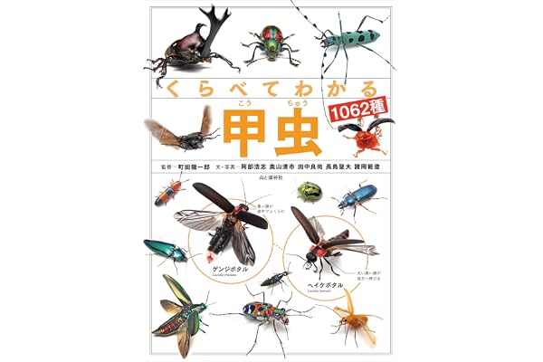 くらべてわかる甲虫1062種