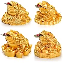 黄金のカエル(rana d'oro) 黄金のカエル(rana d'oro) 黄金のカエル(rana d'oro) 黄金の