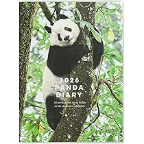 keora keora パンダかごバッグ シャンシャン　上野アドベン　新品未使用 keora keora パンダかごバッグ シャンシャン 上野アドベン 新品