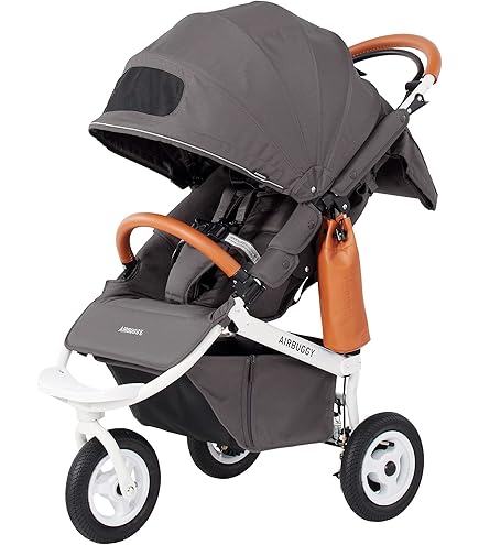 Amazon.co.jp: AirBuggy(エアバギー) ココ プレミア フロムバース COCO