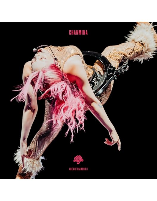 Amazon.co.jp: 【Amazon.co.jp限定】AREA OF DIAMOND 2 (DVD