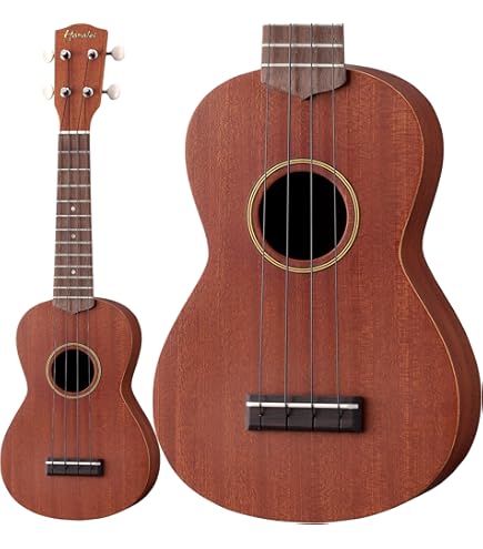 Amazon.co.jp: Hanalei HUK-80C コンサートウクレレ トップ単板