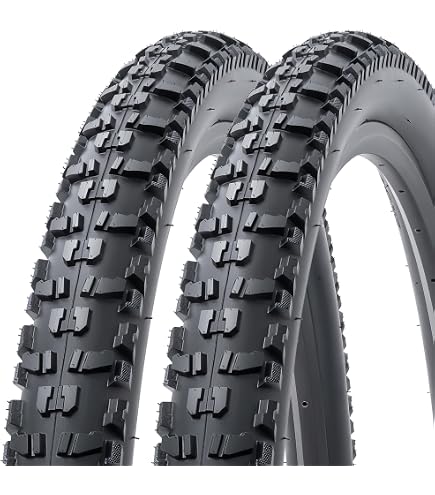 Amazon | シュワルベ アイススパイカープロ 29インチ(622) ワイヤー 29