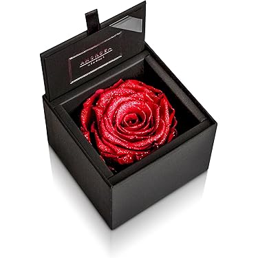 Amazon.co.jp 売れ筋ランキング: ドライ・プリザーブドフラワー の中で