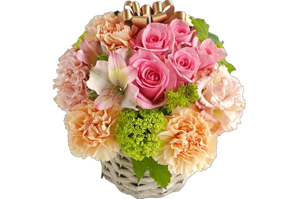 【母の日・ギフト】白坂花店 5本のバラと季節のお花 リボンアレンジメント カーネーション そのまま飾れる 2026年香川県知事賞・NFD理事長賞受賞