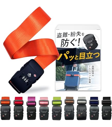 Amazon.co.jp: TESSAN 変圧器 600W 海外旅行用 純正弦波 220Vから100V