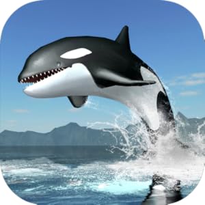 Orca Survival Simulator