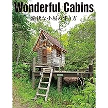 816vDjrNy0L._AC_UL210_SR210,