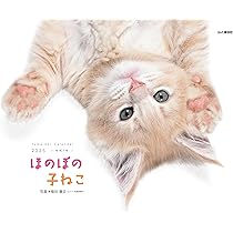 カレンダー2025 ほのぼの子ねこ（月めくり/壁掛け） (ヤマケイ