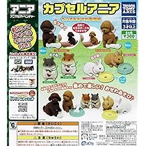 Amazon | カプセルアニア ちいさなおせわ動物編 全6種 ガチャ