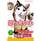 ｄｅａｒ こげんた この子猫を知っていますか Mimi ノンフィクション Kindleストア Amazon