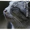 ちょっとネコぼけ