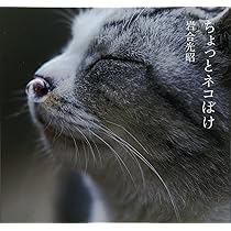 ちょっとネコぼけ | 岩合 光昭 |本 | 通販 | Amazon