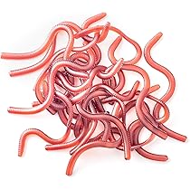 Amazon.co.jp: 【オルルド釣具】 ソフトワーム ミミズ疑似餌 全長：3.8