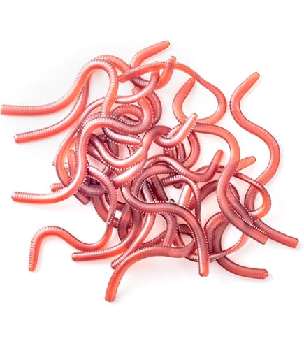 Amazon.co.jp: 【オルルド釣具】 ソフトワーム ミミズ疑似餌 全長：3.8