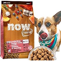 NOW FRESH グレインフリードッグフード　大粒タイプ NOW FRESH グレインフリードッグフード 大粒タイプ Amazon.co.jp