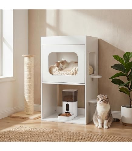 Amazon | キャットウォーク 猫 本棚 おしゃれ 収納棚 木製 幅60cm 家具