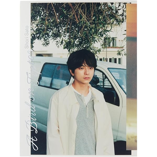 Amazon.co.jp: 鈴鹿央士 ファースト写真集 『 omen-前兆- 』 : 鈴鹿 央