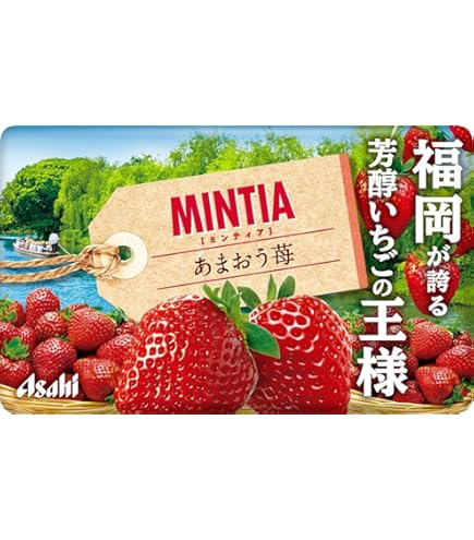 Amazon | アサヒグループ食品 ミンティアグレープ 50粒×10個