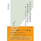 日本の少子化対策はなぜ失敗したのか？～結婚・出産が回避される本当の原因～ (光文社新書)