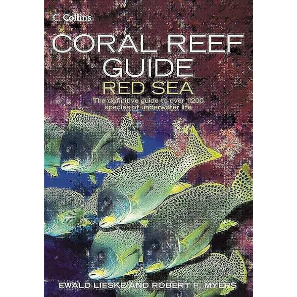 Amazon | An Underwater Guide to the Red Sea | Wood, Lawson