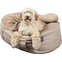 cheap dog beds amazon