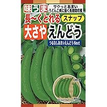 新鮮 ニムラ　スナップえんどう　野菜　豆 10月蒔きエンドウ豆】ニムラサラダスナップ 20ml | タネのハシモト