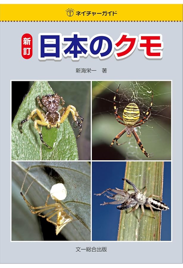 クモ学: 摩訶不思議な八本足の世界 | 小野 展嗣 |本 | 通販 | Amazon