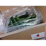 佐賀県産・九州各県産　訳あり きゅうり 規格外品　1ケース 約5kg　Tanaka Sho-ten