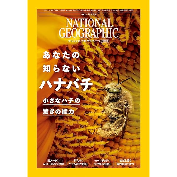 もしもミツバチが世界から消えてしまったら | 有沢重雄, 中村純 |本