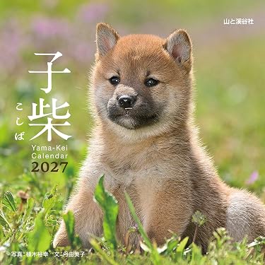 Amazon.co.jp 最新リリース: インテリアデザイン の新着ランキングです。