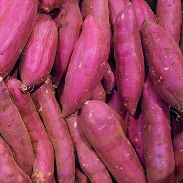 Amazon.co.jp Best Sellers: The most popular items in Fresh