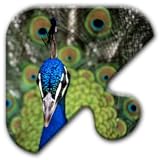 Jigsaw Puzzles Free Game - Chapter 25