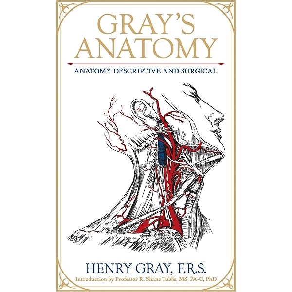 Gray's Anatomy for Students : Drake, Richard L., Vogl, A. Wayne