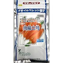Amazon.co.jp: にんじん 種 向陽二号 L1万粒 : DIY・工具・ガーデン