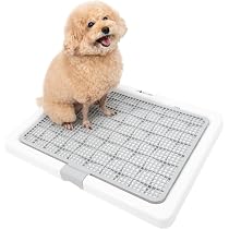 Amazon | INULABO(イヌラボ) 犬 トイレ トレー 高床式 小型犬 中型犬 M