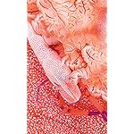 海の生き物 FVGA(480×800)壁紙 2022 the Ocean Unseen Wall Calendar 海の生き物 FVGA(480×800)壁紙 2022 the Ocean Unseen Wall Calendar