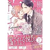 極上御曹司の裏の顔 (2) (エタニティCOMICS)