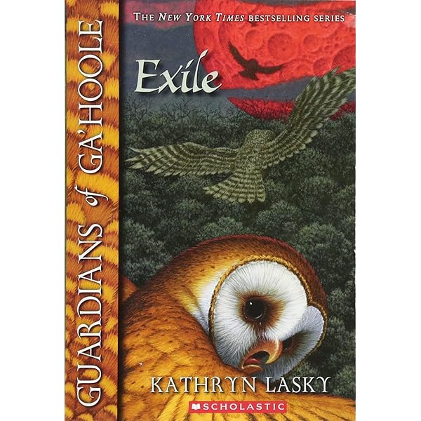 期間限定お値下げ！早い者勝ち！　Guardians of Ga'hoole 期間限定お値下げ！早い者勝ち！ Guardians of Ga'hoole Amazon.co.jp