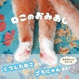 ねこのおみあし