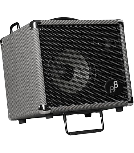 Amazon | Phil Jones Bass (PJB) / EAR BOX Near Field Monitor EAR