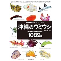 沖縄のウミウシ: DNA解析による最新の分類図鑑1089種 (ネイチャー