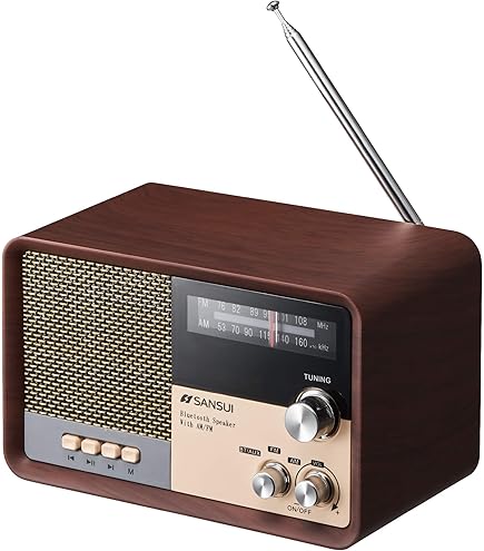 Tivoli audio model one チボリオーディオモデルワン♡C19