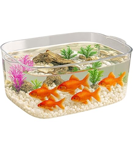 Amazon.co.jp: ビオトープ 60L トロ舟＆木枠セット（棚付き） メダカ