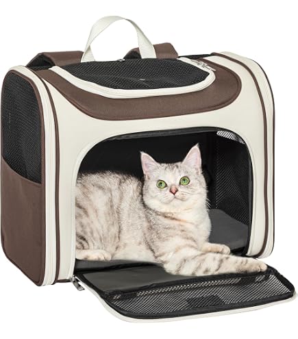 Amazon.co.jp: Pecute 猫 キャリー リュック ペット キャリーバッグ 犬