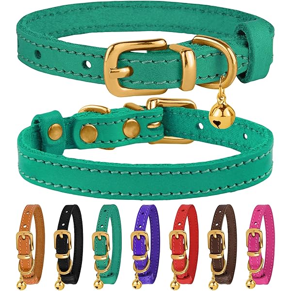 cheap kitten collars
