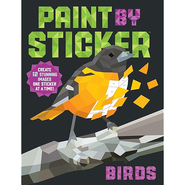 Amazon | Paint by Sticker (Official): Create 12 Masterpieces One
