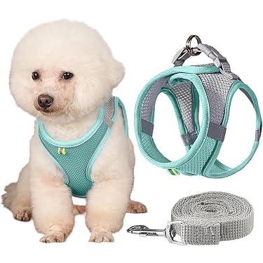 Amazon.co.jp 最新リリース: 犬用ハーネス の新着ランキングです。